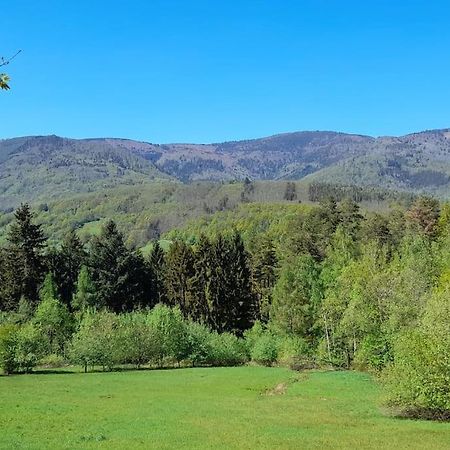 Ville Centre - Gite Le Villois - Au Coeur De L'Alsace المظهر الخارجي الصورة