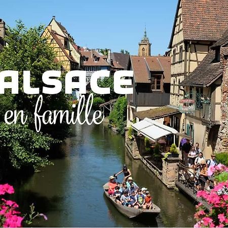 Ville Centre - Gite Le Villois - Au Coeur De L'Alsace المظهر الخارجي الصورة