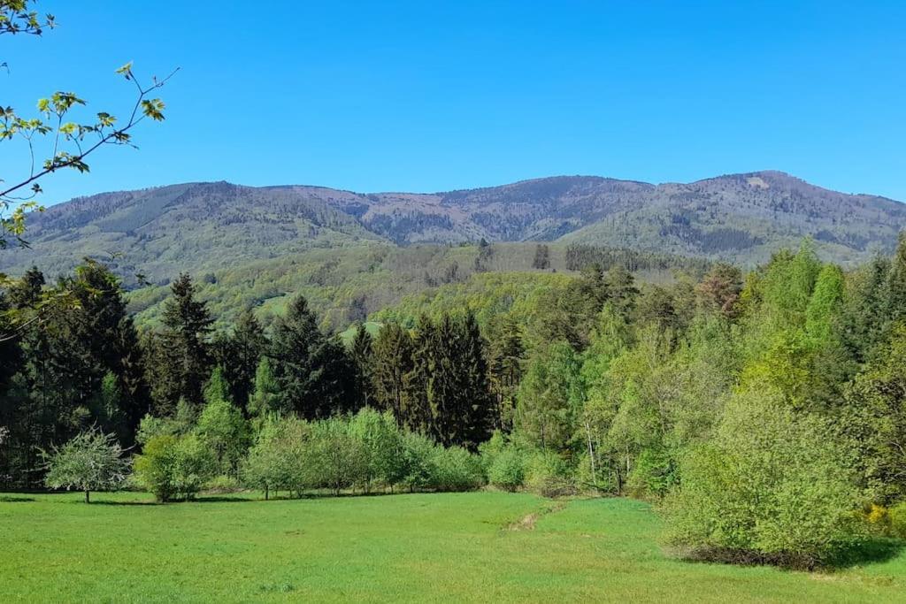 Ville Centre - Gite Le Villois - Au Coeur De L'Alsace المظهر الخارجي الصورة