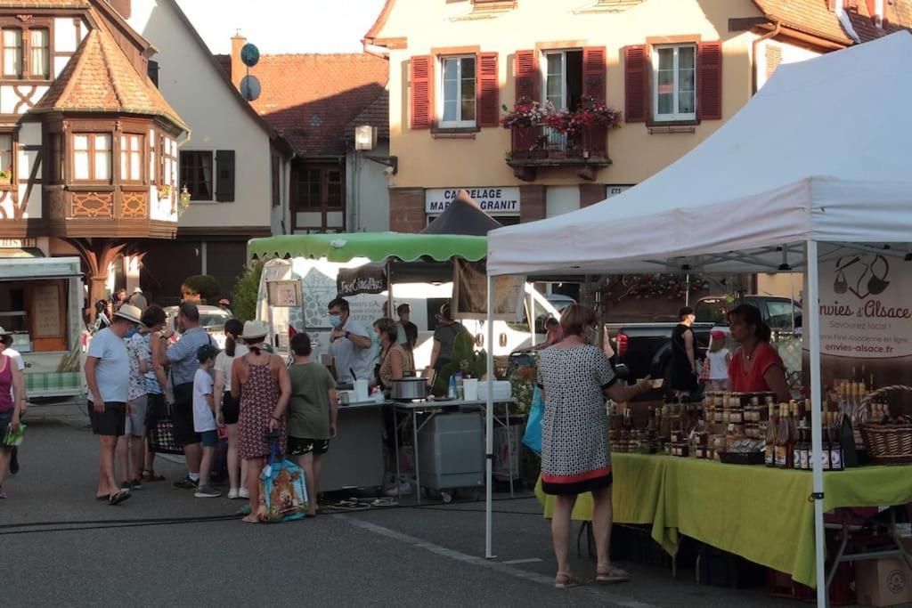 Ville Centre - Gite Le Villois - Au Coeur De L'Alsace المظهر الخارجي الصورة