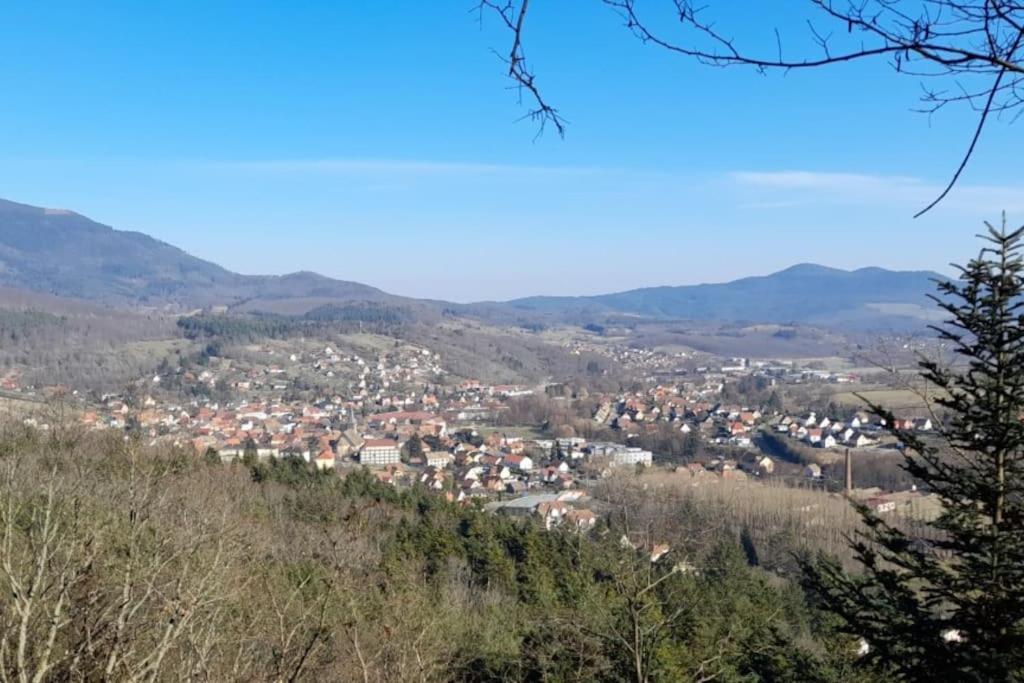 Ville Centre - Gite Le Villois - Au Coeur De L'Alsace المظهر الخارجي الصورة