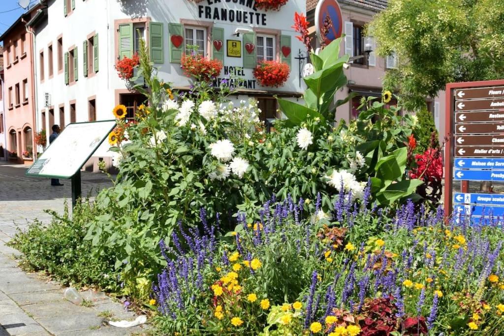 Ville Centre - Gite Le Villois - Au Coeur De L'Alsace المظهر الخارجي الصورة
