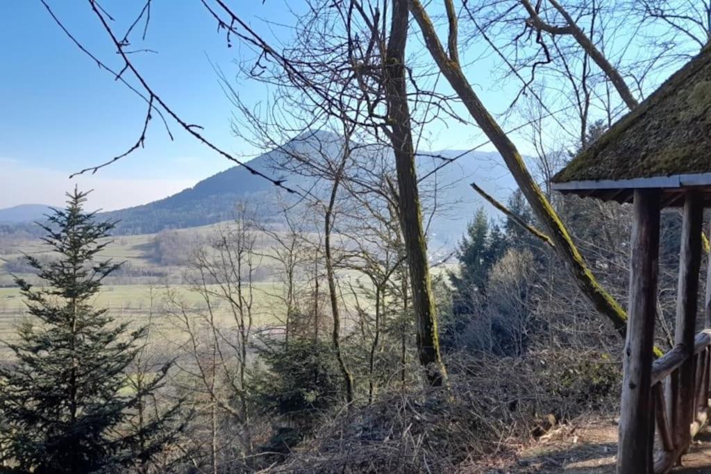 Ville Centre - Gite Le Villois - Au Coeur De L'Alsace المظهر الخارجي الصورة