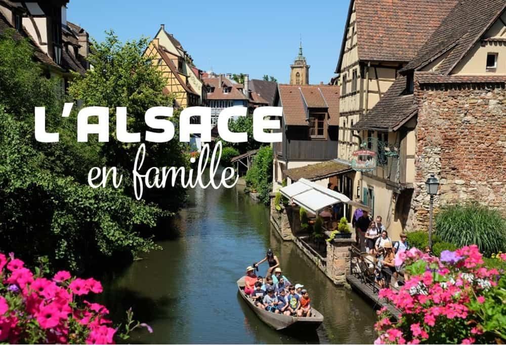 Ville Centre - Gite Le Villois - Au Coeur De L'Alsace المظهر الخارجي الصورة