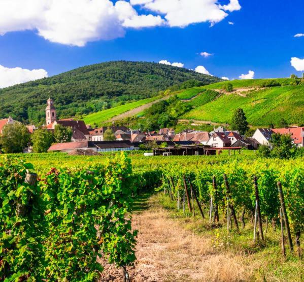 Ville Centre - Gite Le Villois - Au Coeur De L'Alsace المظهر الخارجي الصورة