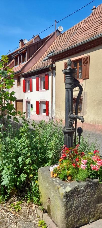 Ville Centre - Gite Le Villois - Au Coeur De L'Alsace المظهر الخارجي الصورة